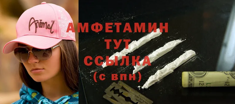 ссылка на мегу вход  Курчалой  Amphetamine Premium 